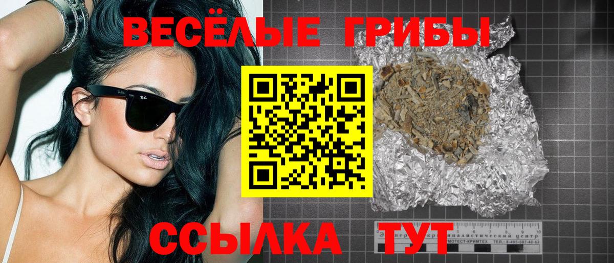 Псилоцибиновые грибы GOLDEN TEACHER Кизляр