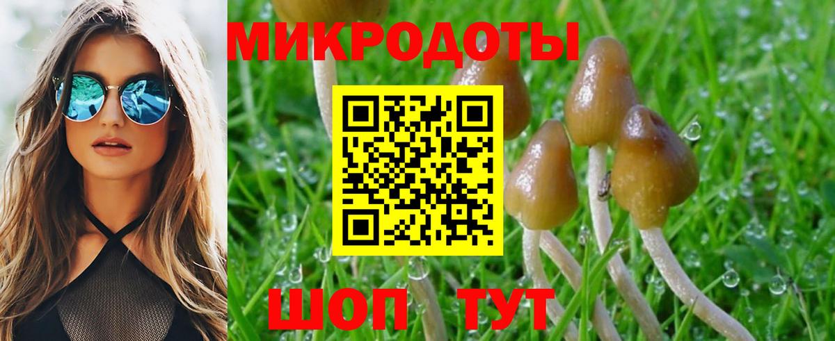 где можно купить   Галлюциногенные грибы мицелий  Вход с VPN  Кизляр 